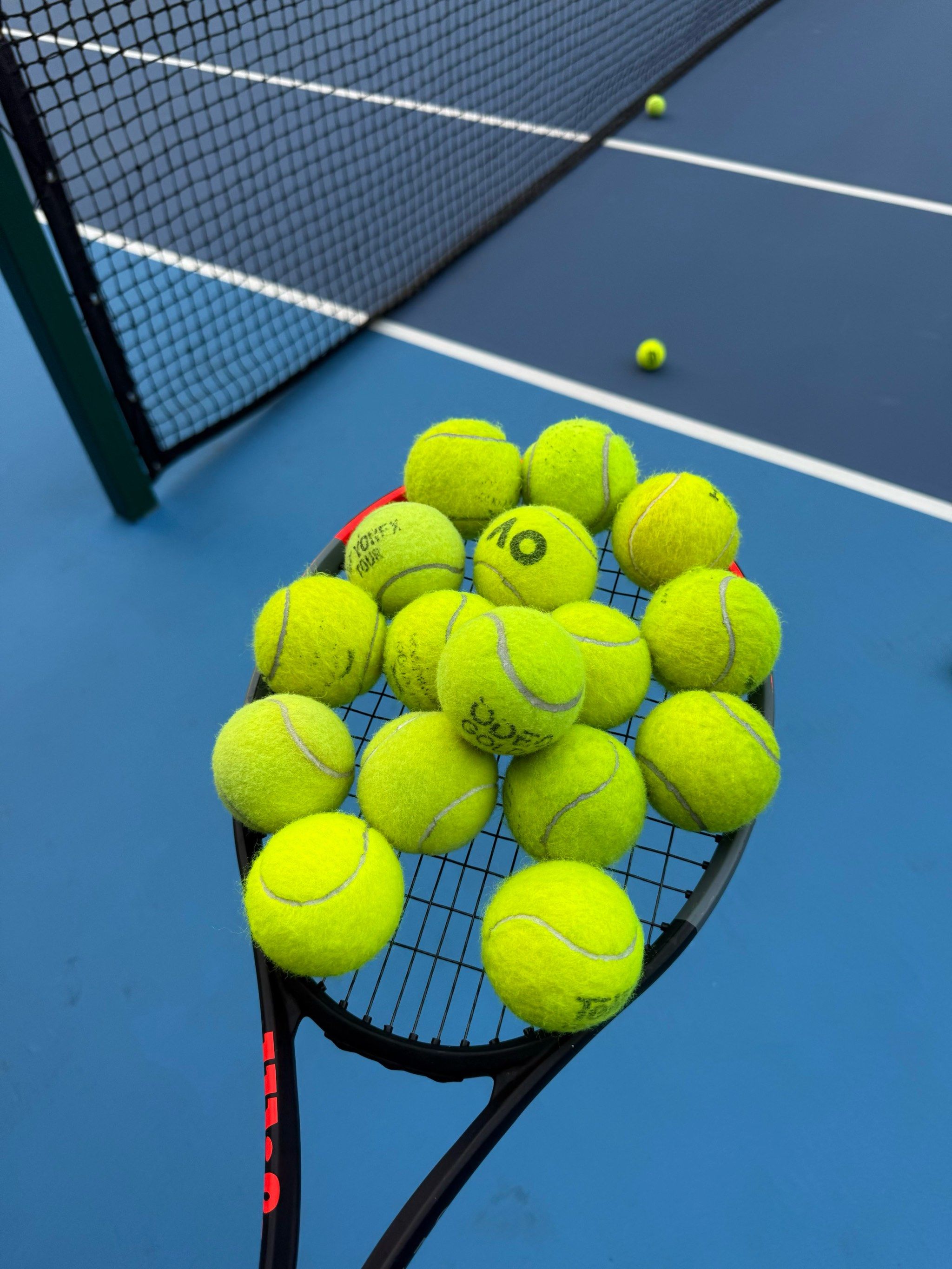 更是新生代 更是新生代